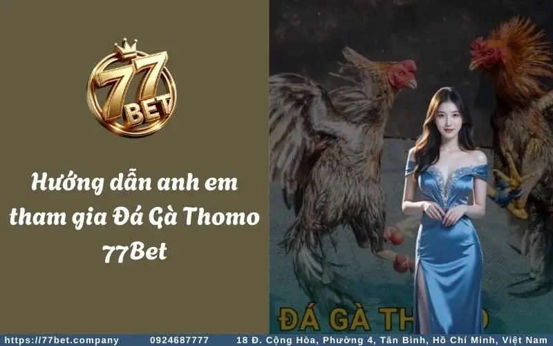 Hướng dẫn tham gia cá cược Đá Gà Thomo 77Bet