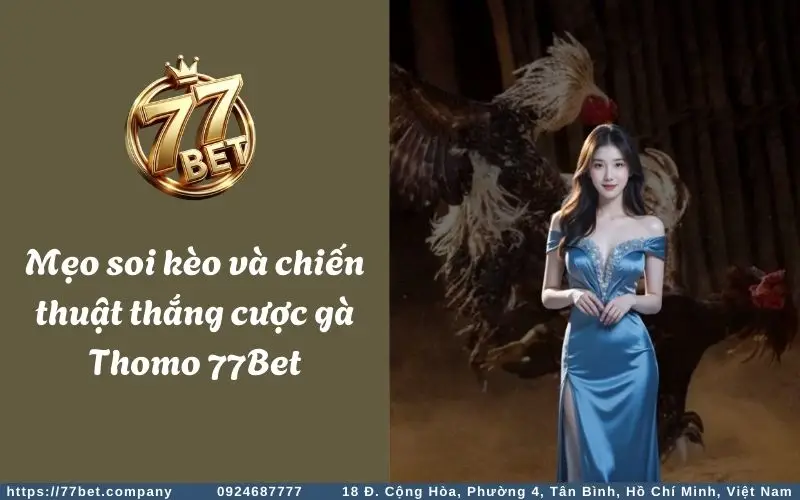 Kinh nghiệm chơi cá cược đá gà Thomo