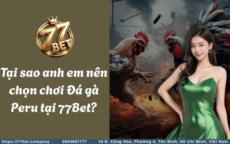 Tai sao anh em nen chon choi ca cuoc Da Ga Peru tai 77Bet?